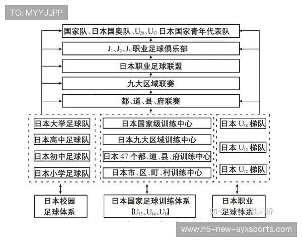 足球联赛在青训扶持中推动俱乐部与学校共建学训基地并实现学分互认