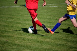 爱游戏在线登录-LPL多个队伍重组计划曝光转会期极度混乱，lpl战队转会期